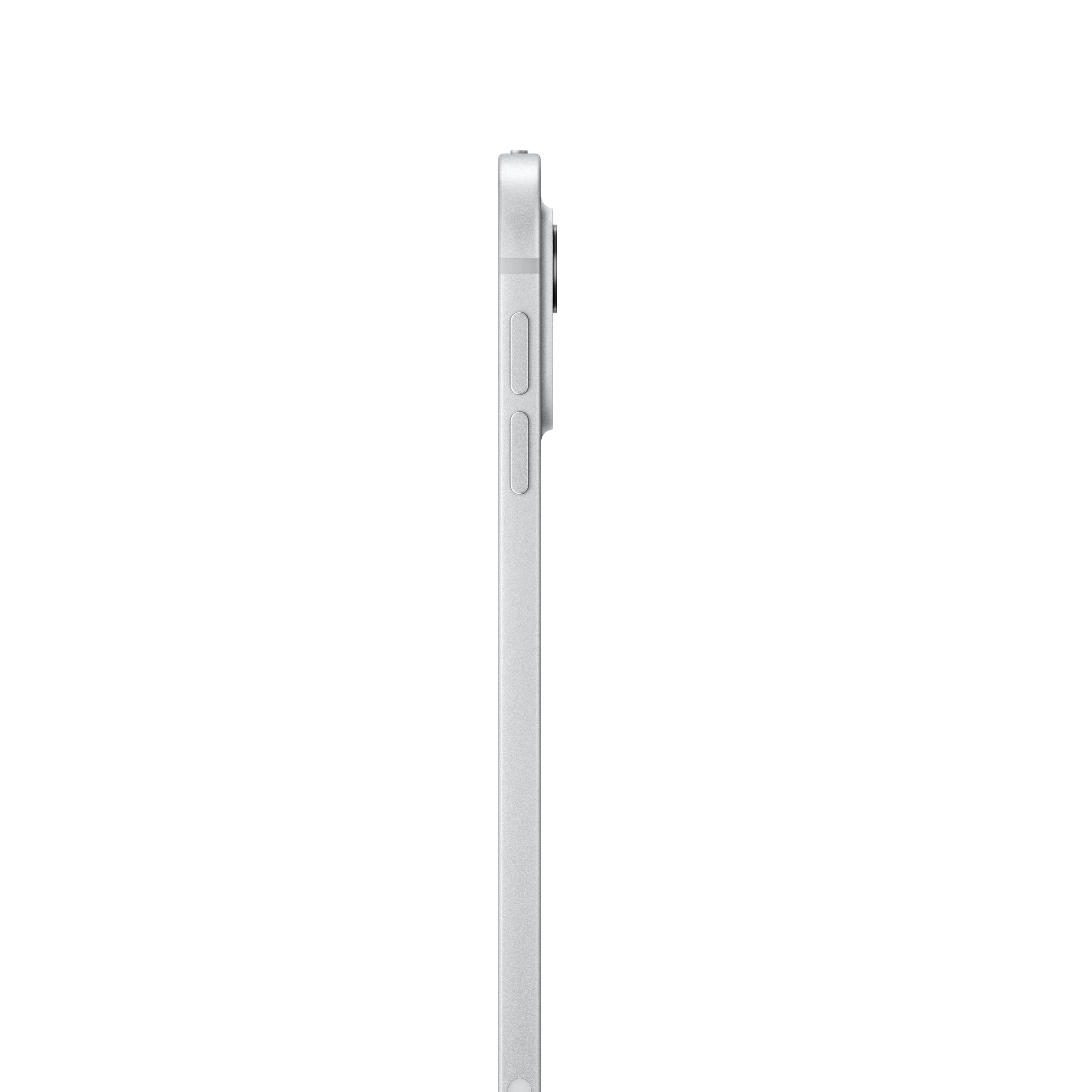 11-inch iPad Pro Wi-Fi + Cellular 256GB Standard Glass - Silver (M4) - Image 3