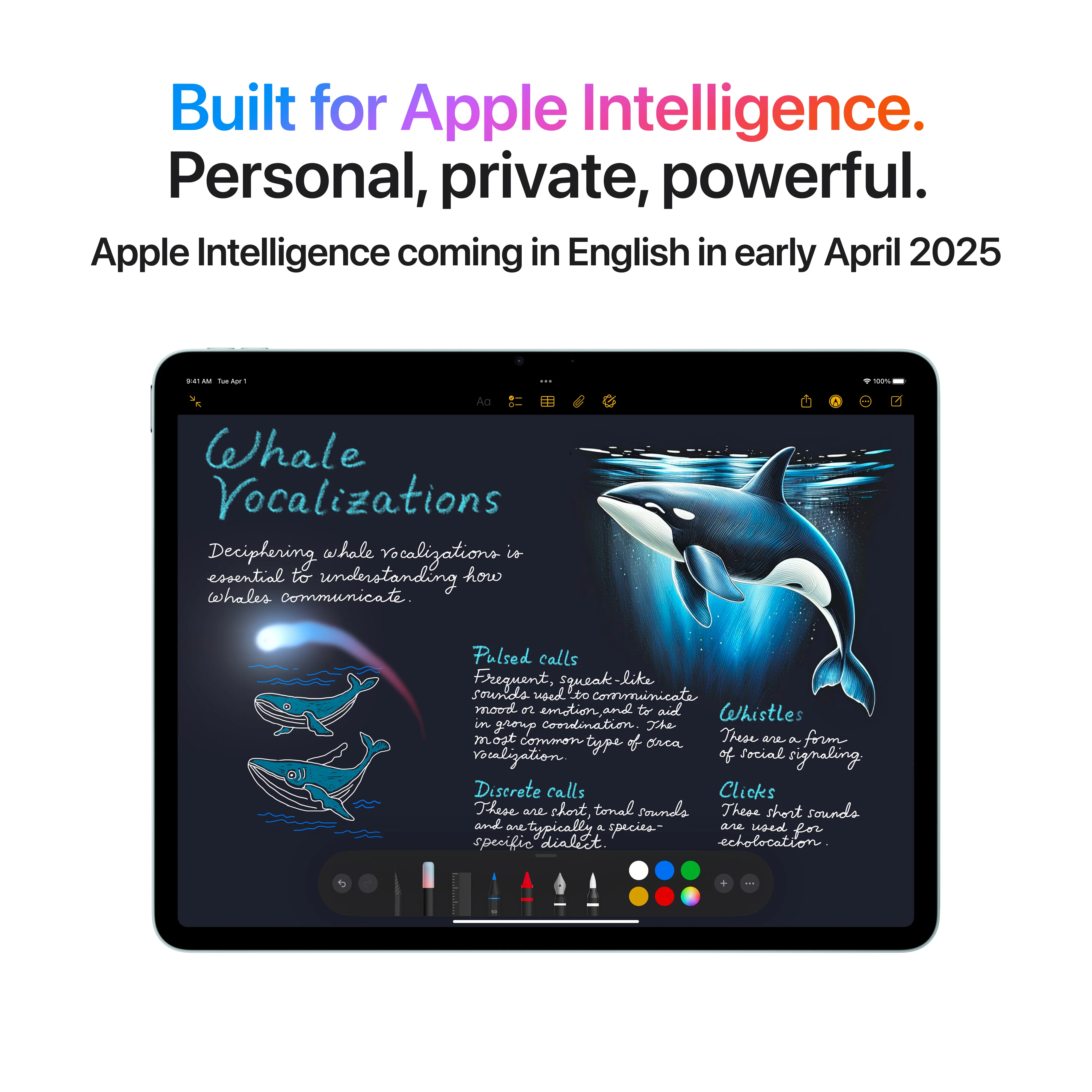 13-inch iPad Air Wi-Fi + Cellular 256GB - Blue (M3) - Image 5