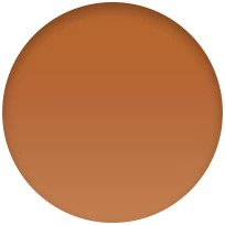 45mm Golden Brown Leather Link - M/L - Image 4