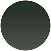 45mm Sequoia Green Leather Link - M/L - Image 4