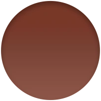 45mm Umber Leather Link - S/M - Image 4