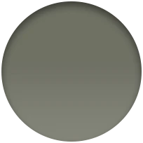 45mm Olive Sport Band - Image 4