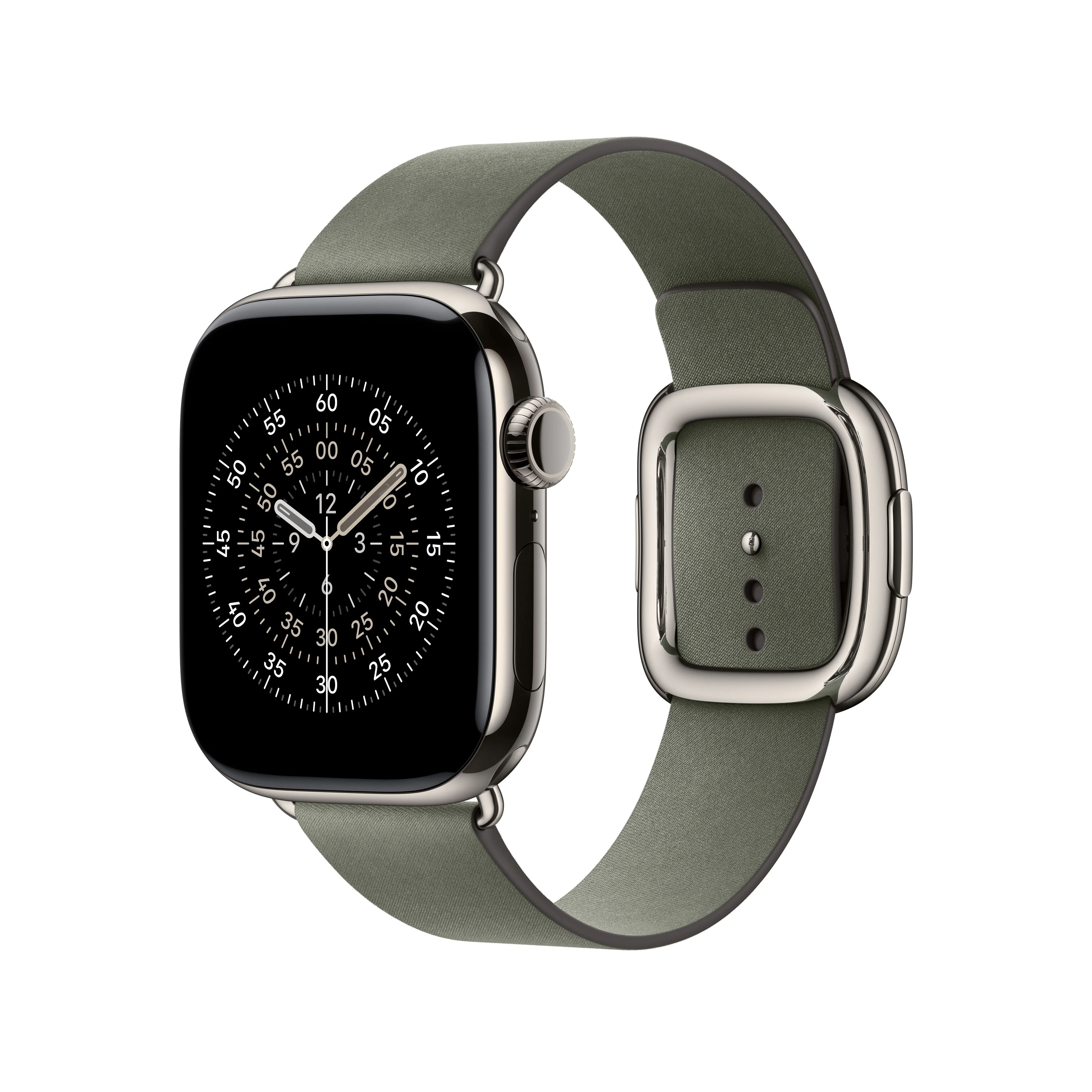 42mm Sage Grey Modern Buckle - Large - Image 2