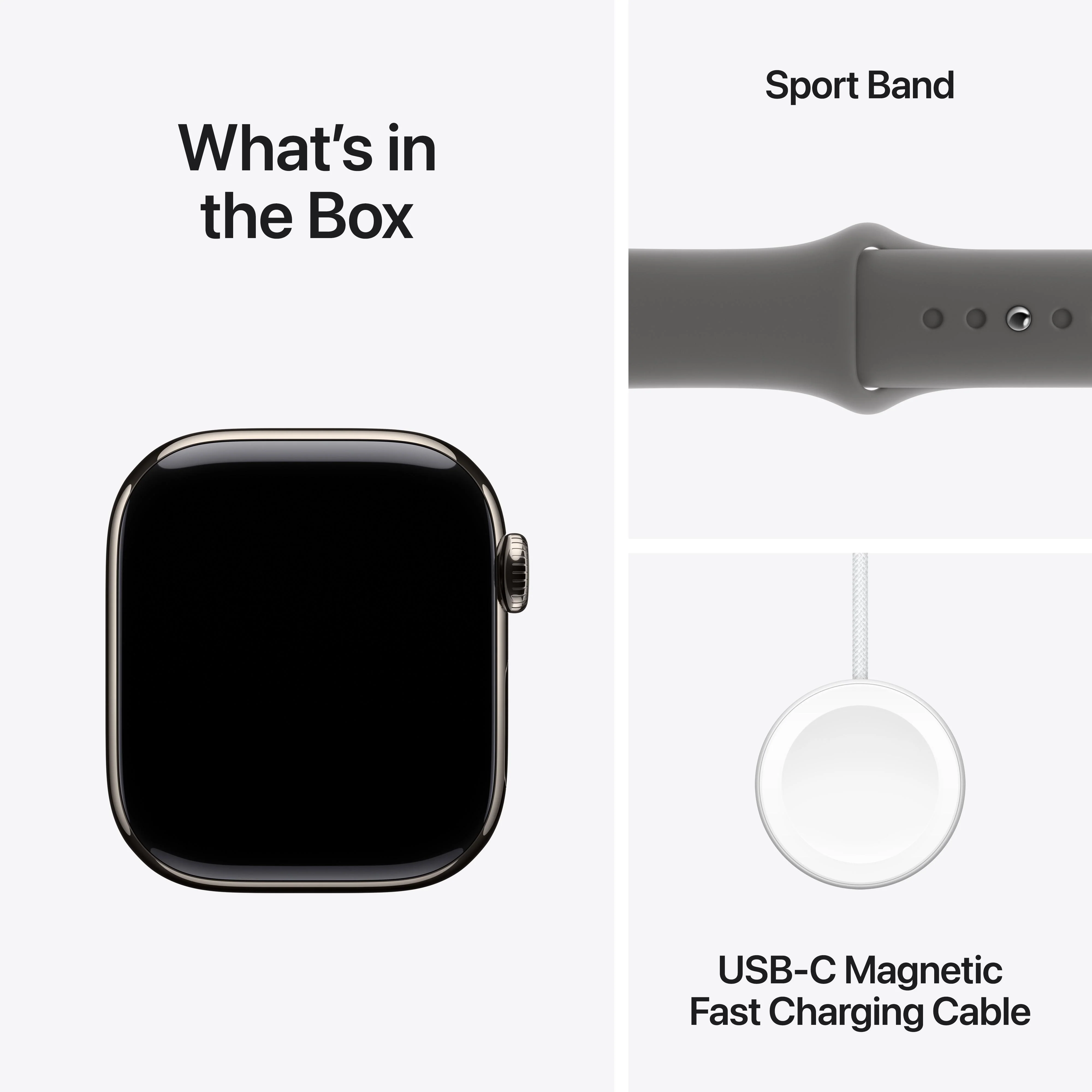 Apple Watch Series 10 GPS + Cellular 42mm Natural Titanium Case with Stone Grey Sport Band - S/M - Image 9